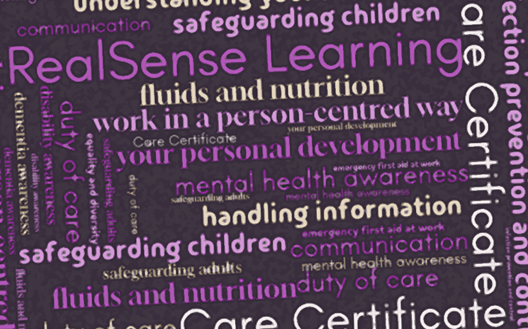 Care Certificate Training Care Certificate Training